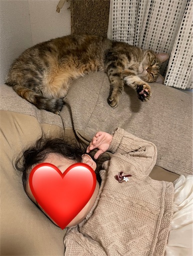 f:id:Furukawake:20250120221247j:image