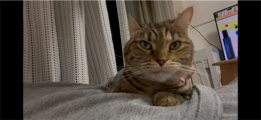 f:id:Furukawake:20250121232621p:image f:id:Furukawake:20250121232621p:image
