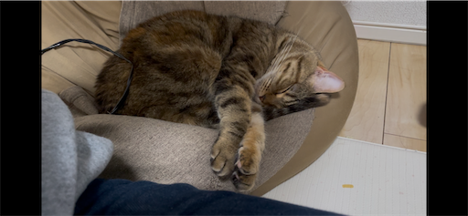 f:id:Furukawake:20250121232624p:image f:id:Furukawake:20250121232624p:image