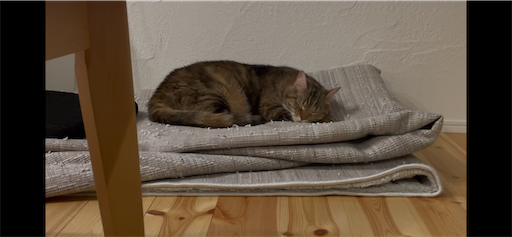 f:id:Furukawake:20250813205714p:image f:id:Furukawake:20250813205714p:image