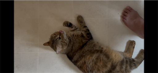 f:id:Furukawake:20250821210155p:image f:id:Furukawake:20250821210155p:image