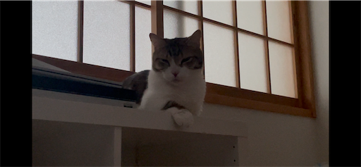 f:id:Furukawake:20250910214539p:image