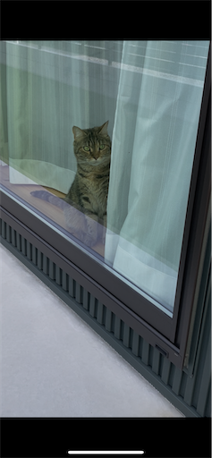 f:id:Furukawake:20251010233103p:image