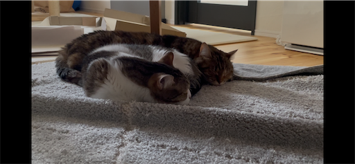 f:id:Furukawake:20251016181215p:image f:id:Furukawake:20251016181215p:image