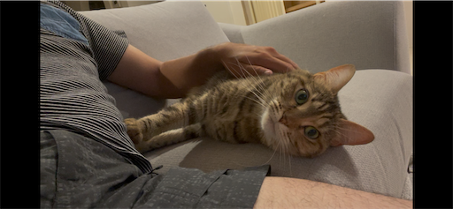 f:id:Furukawake:20251115082210p:image f:id:Furukawake:20251115082210p:image