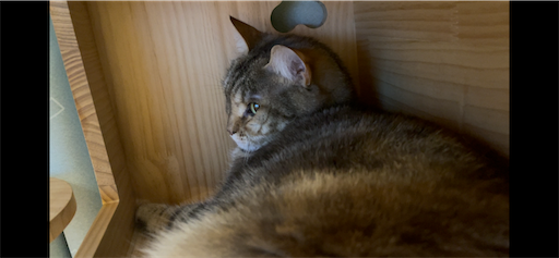 f:id:Furukawake:20251115082219p:image f:id:Furukawake:20251115082219p:image