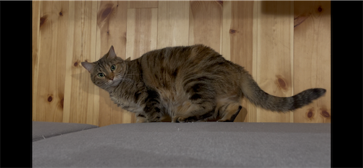 f:id:Furukawake:20251117185240p:image