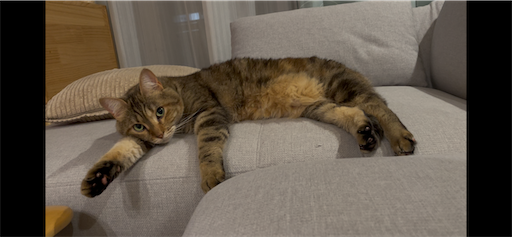 f:id:Furukawake:20251117185244p:image