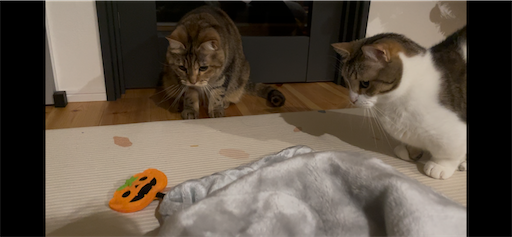 f:id:Furukawake:20251122164648p:image f:id:Furukawake:20251122164648p:image