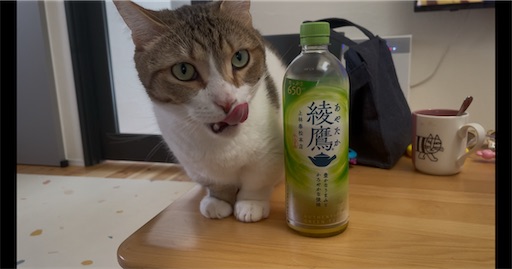 f:id:Furukawake:20251208213615j:image
