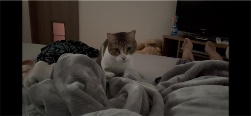 f:id:Furukawake:20251212133736p:image