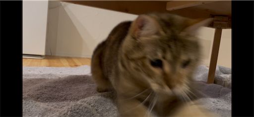 f:id:Furukawake:20251227204953p:image