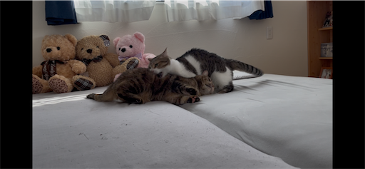 f:id:Furukawake:20260112214108p:image