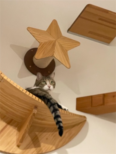 f:id:Furukawake:20260121133550j:image