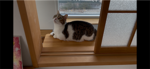f:id:Furukawake:20260122134114p:image