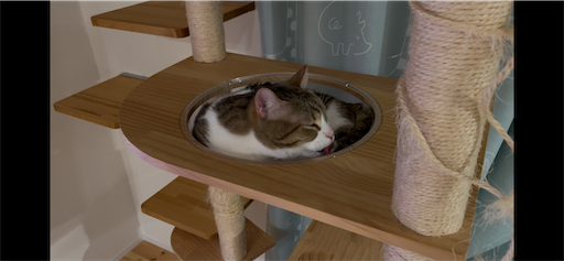 f:id:Furukawake:20260302133418p:image