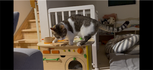 f:id:Furukawake:20260310222026p:image