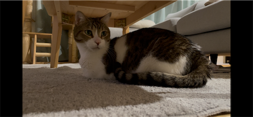 f:id:Furukawake:20260316220416p:image