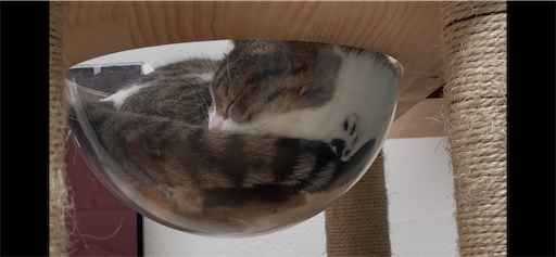 f:id:Furukawake:20260422224447p:image f:id:Furukawake:20260422224447p:image