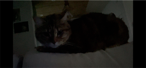 f:id:Furukawake:20260429211245p:image
