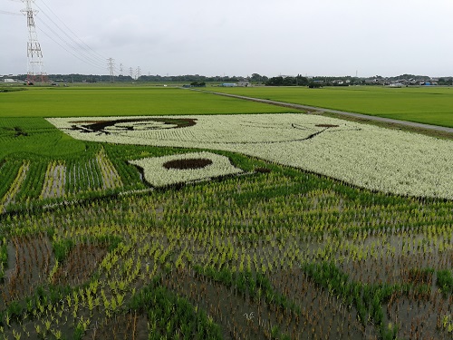 現地写真2020