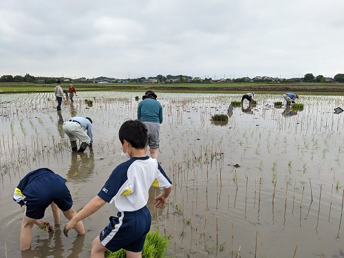 田植え風景