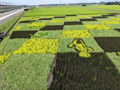 田んぼアート2022 田んぼアート2022