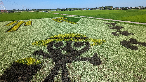 田んぼアート2023
