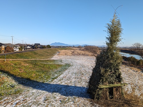 田んぼアート2024-3 田んぼアート2024-3