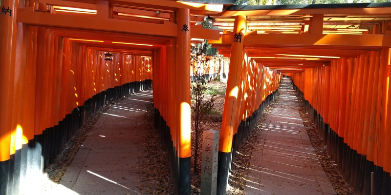 f:id:Fushiminchu:20200428191914j:plain