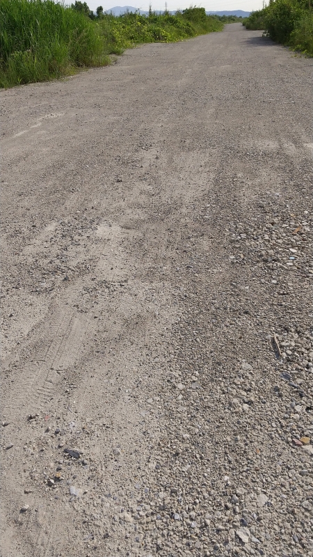 f:id:Fushiminchu:20200603204637j:plain