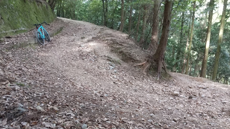 f:id:Fushiminchu:20200603205005j:plain