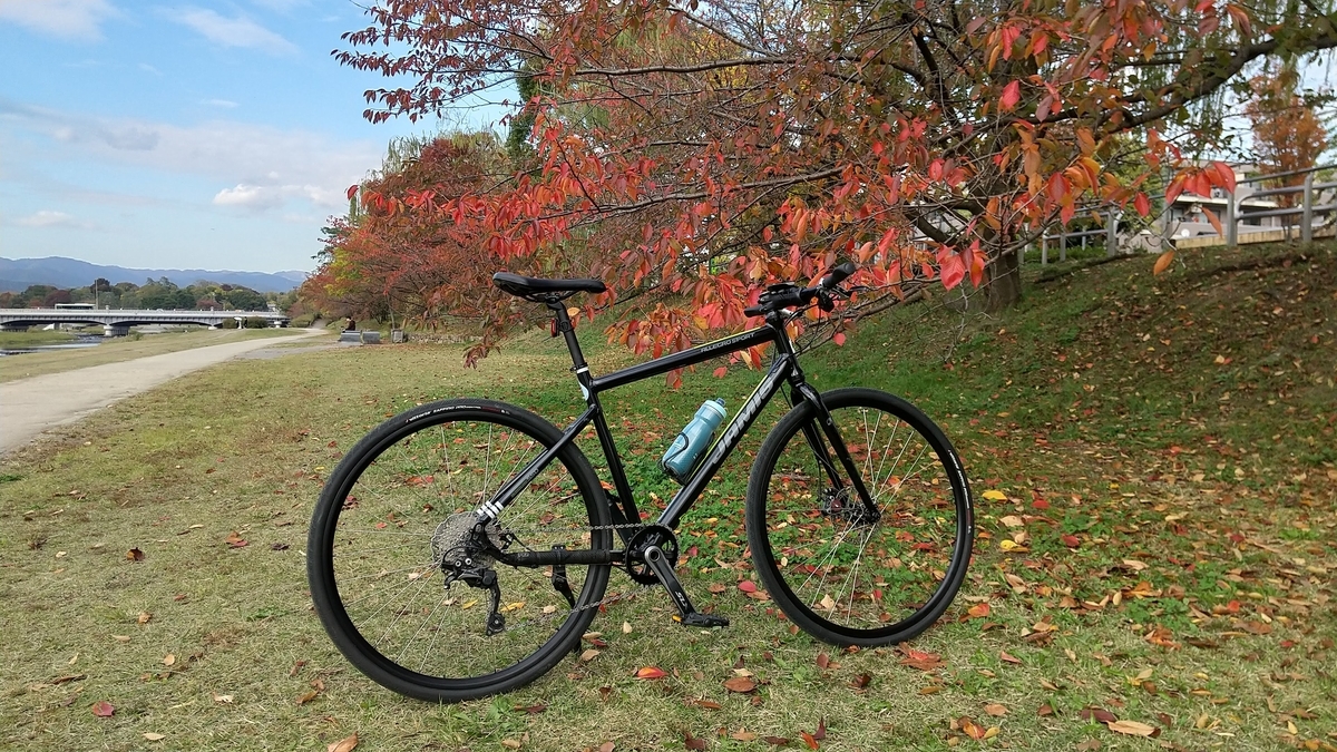 f:id:Fushiminchu:20210108211118j:plain