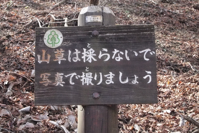 f:id:FutagawaNico:20190413225328j:plain
