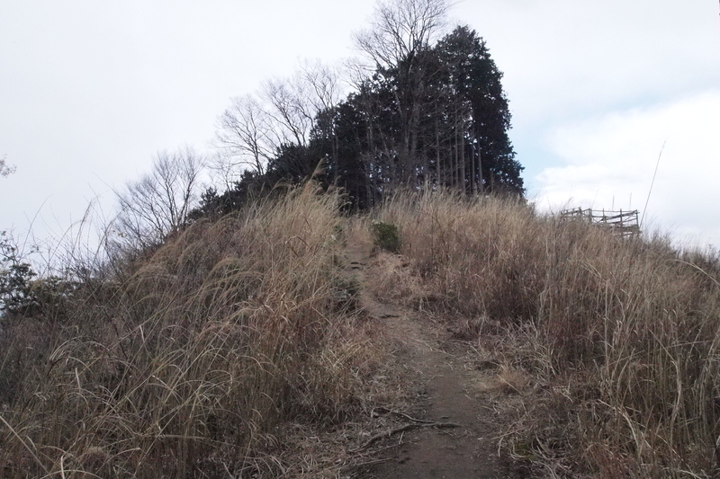 f:id:FutagawaNico:20190413225338j:plain