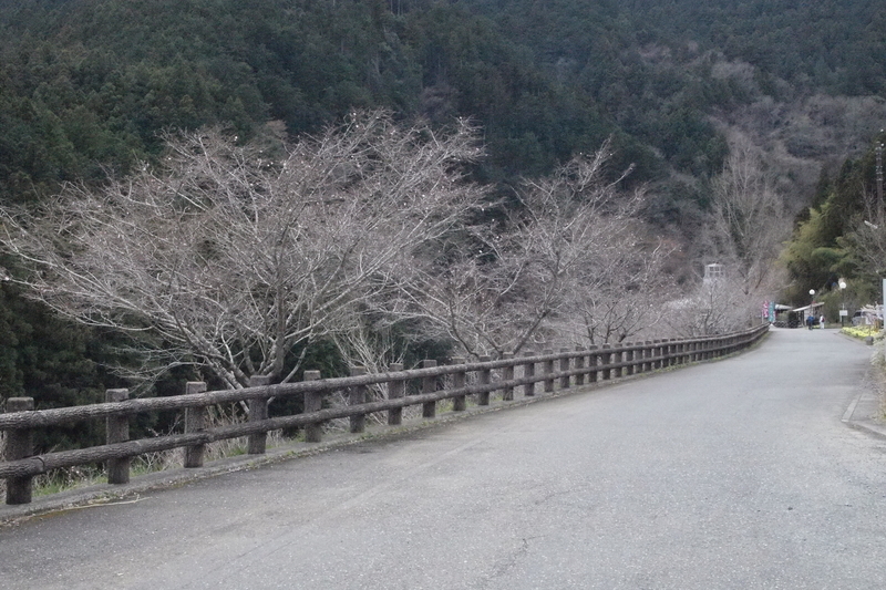 f:id:FutagawaNico:20190413225340j:plain