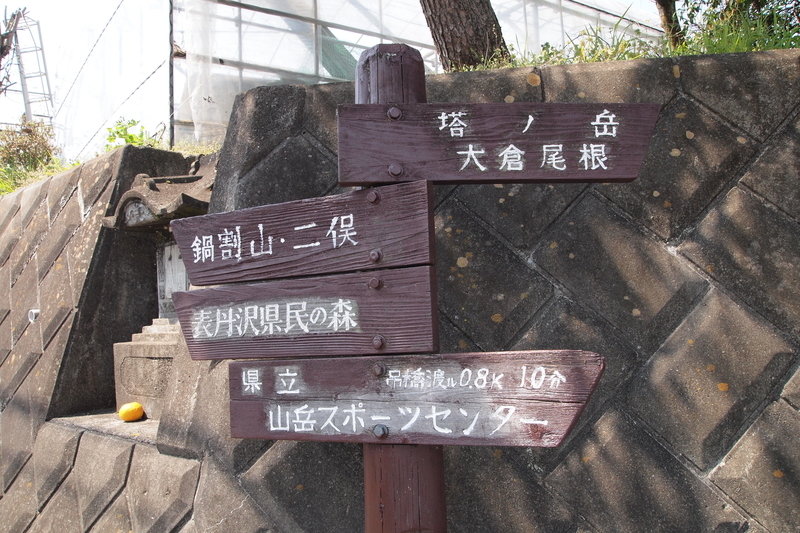 f:id:FutagawaNico:20191124001727j:plain
