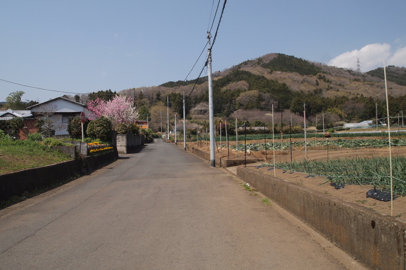 f:id:FutagawaNico:20191124001751j:plain