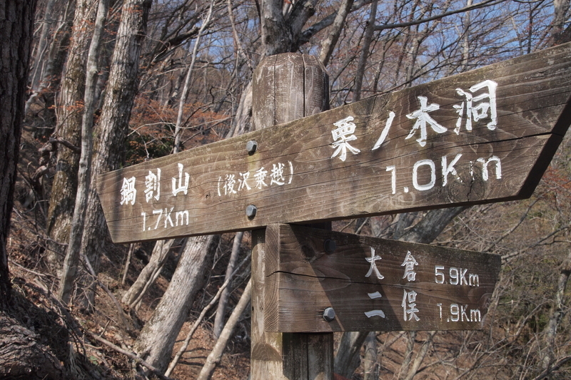 f:id:FutagawaNico:20191124002451j:plain