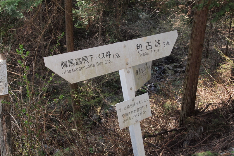 f:id:FutagawaNico:20200716203035j:plain