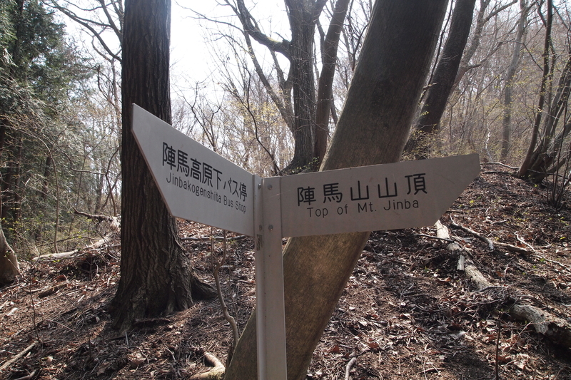 f:id:FutagawaNico:20200716203936j:plain