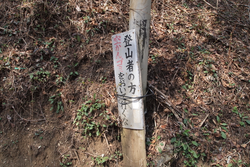 f:id:FutagawaNico:20200716203958j:plain