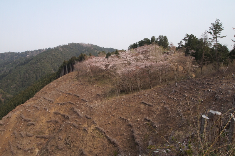 f:id:FutagawaNico:20210321152629j:plain