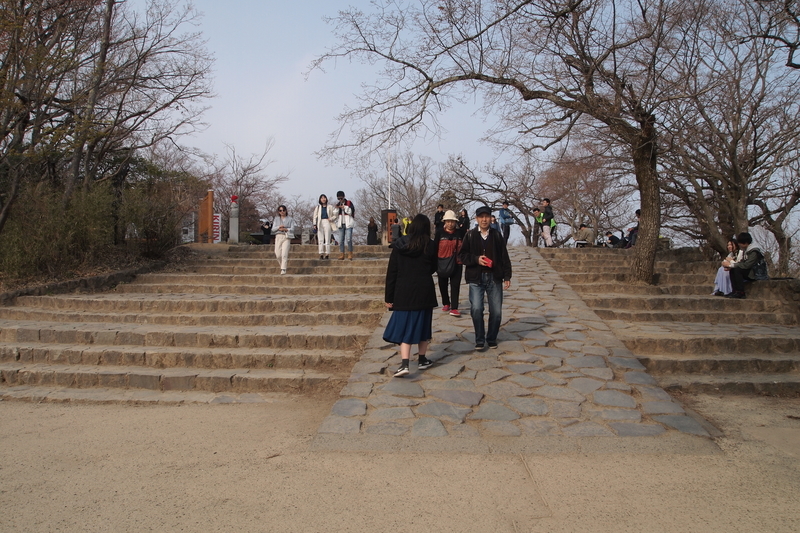 f:id:FutagawaNico:20210321152759j:plain