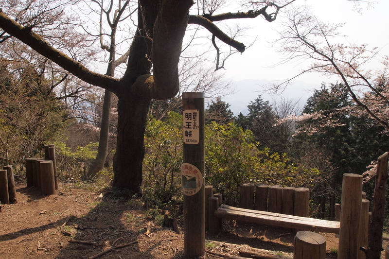 f:id:FutagawaNico:20210321153429j:plain