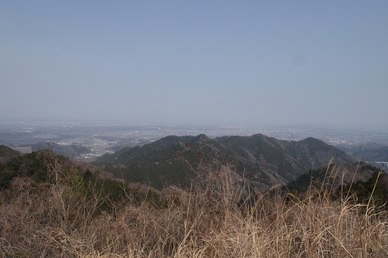 f:id:FutagawaNico:20210321154051j:plain