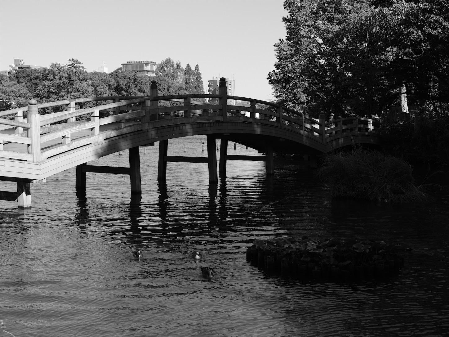 f:id:Futu:20200811183138j:image