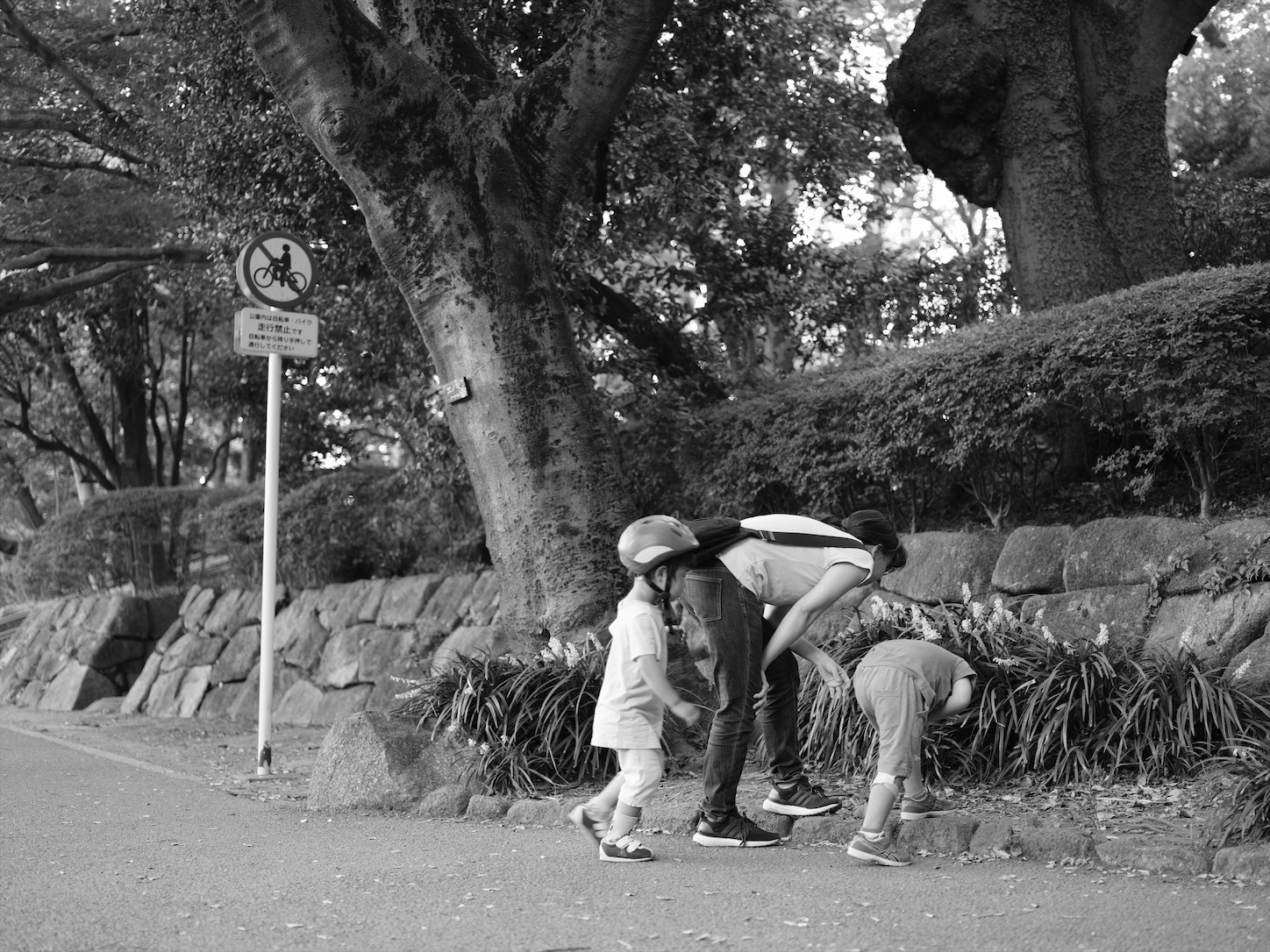 f:id:Futu:20200816231913j:image