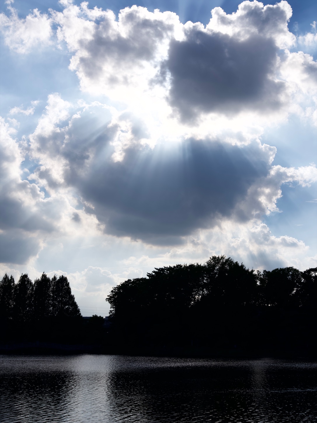f:id:Futu:20200827224307j:image