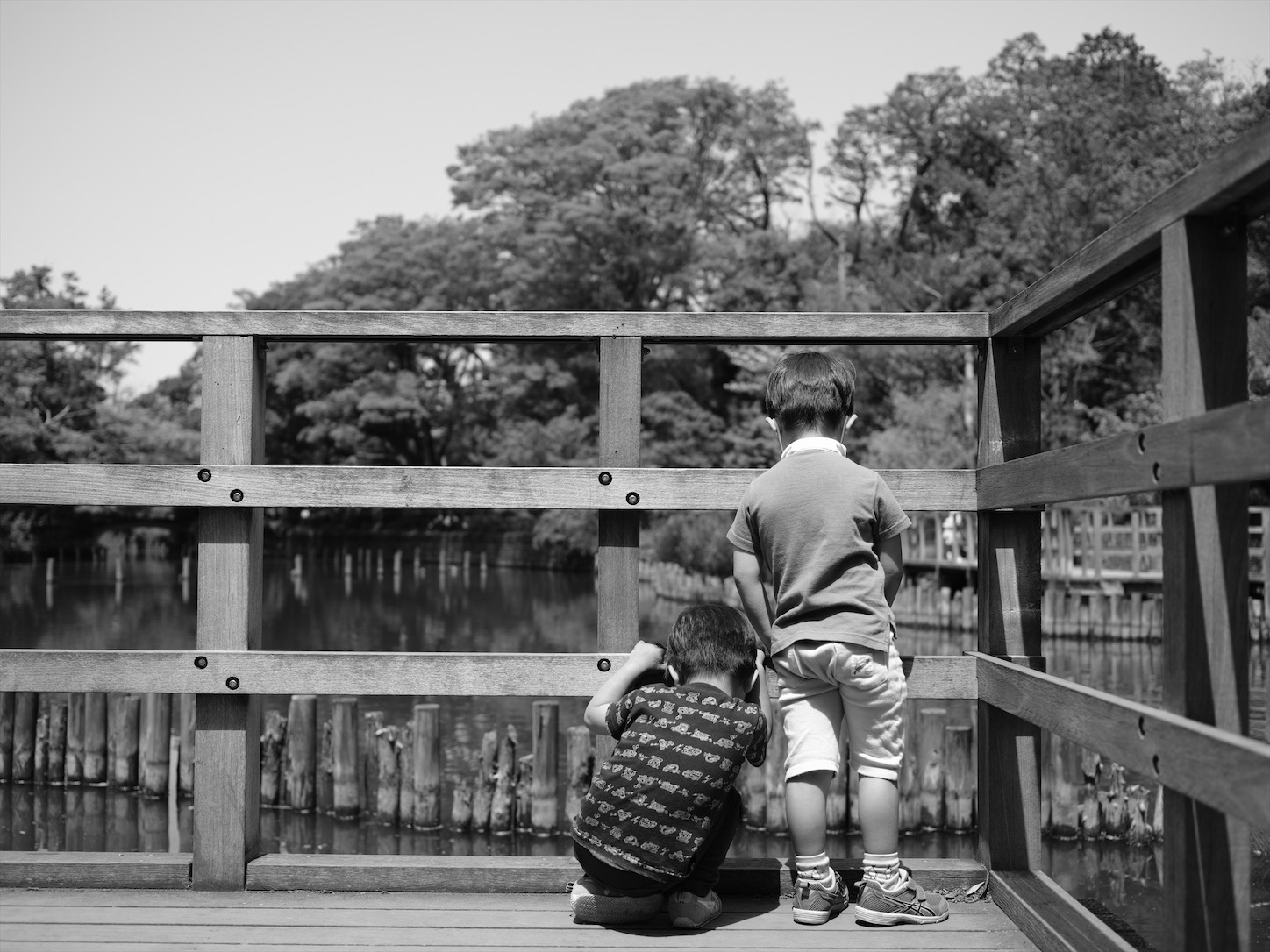f:id:Futu:20201127105041j:image